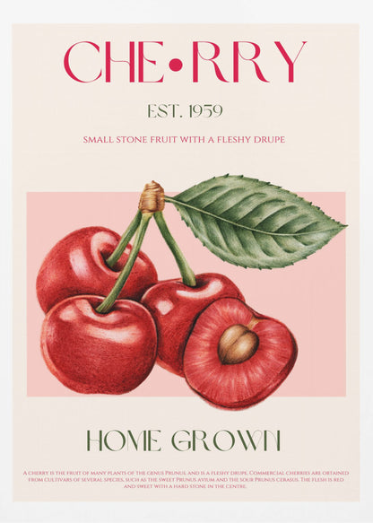 A vintage-style botanical poster of cherries with a black frame. The poster features a detailed illustration of four red cherries on a pink background. Above the illustration, the word 'CHERRY' is printed in large magenta letters, with 'EST. 1959' below it. At the bottom, it says 'HOME GROWN' in green, followed by a descriptive paragraph about cherries on a cream background. Poster