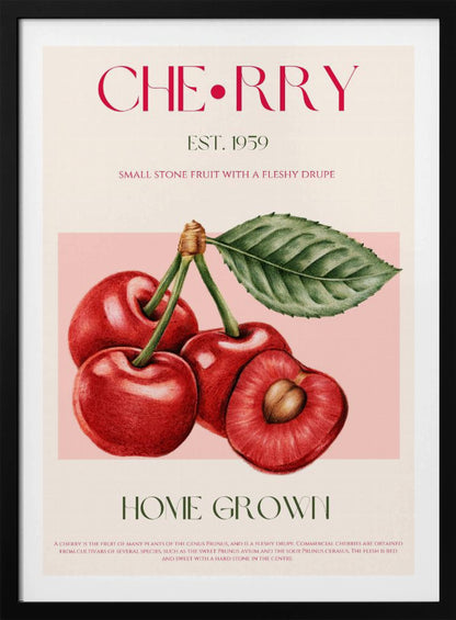 A vintage-style botanical poster of cherries with a black frame. The poster features a detailed illustration of four red cherries on a pink background. Above the illustration, the word 'CHERRY' is printed in large magenta letters, with 'EST. 1959' below it. At the bottom, it says 'HOME GROWN' in green, followed by a descriptive paragraph about cherries on a cream background. Poster