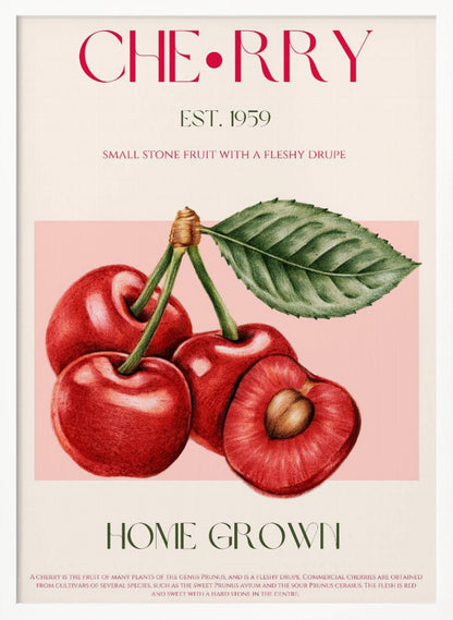 A vintage-style botanical poster of cherries with a black frame. The poster features a detailed illustration of four red cherries on a pink background. Above the illustration, the word 'CHERRY' is printed in large magenta letters, with 'EST. 1959' below it. At the bottom, it says 'HOME GROWN' in green, followed by a descriptive paragraph about cherries on a cream background. Poster