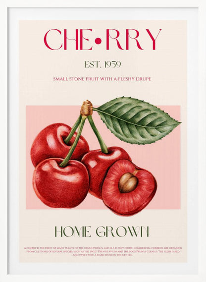 A vintage-style botanical poster of cherries with a black frame. The poster features a detailed illustration of four red cherries on a pink background. Above the illustration, the word 'CHERRY' is printed in large magenta letters, with 'EST. 1959' below it. At the bottom, it says 'HOME GROWN' in green, followed by a descriptive paragraph about cherries on a cream background. Poster