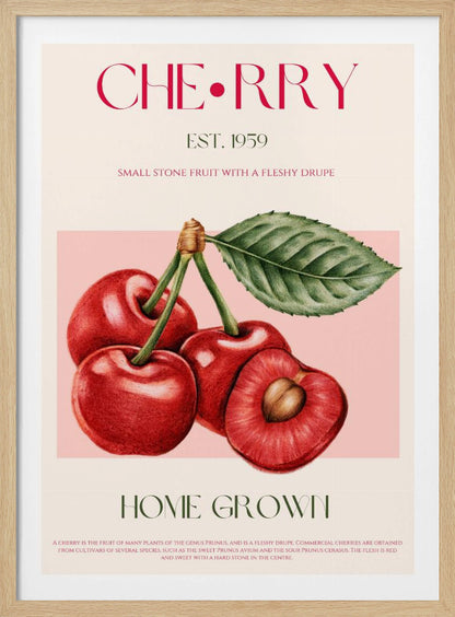 A vintage-style botanical poster of cherries with a black frame. The poster features a detailed illustration of four red cherries on a pink background. Above the illustration, the word 'CHERRY' is printed in large magenta letters, with 'EST. 1959' below it. At the bottom, it says 'HOME GROWN' in green, followed by a descriptive paragraph about cherries on a cream background. Poster
