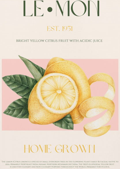 A vintage-style poster about lemons featuring a detailed illustration of a whole and sliced lemon with leaves against a pink background. The poster has text elements like 'LE•MON', 'EST. 1951', and 'HOME GROWN' in a classic font. Print