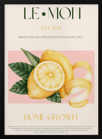 A vintage-style poster about lemons featuring a detailed illustration of a whole and sliced lemon with leaves against a pink background. The poster has text elements like 'LE•MON', 'EST. 1951', and 'HOME GROWN' in a classic font. Print
