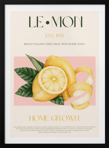 A vintage-style poster about lemons featuring a detailed illustration of a whole and sliced lemon with leaves against a pink background. The poster has text elements like 'LE•MON', 'EST. 1951', and 'HOME GROWN' in a classic font. Print