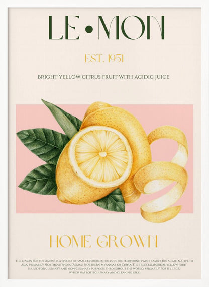 A vintage-style poster about lemons featuring a detailed illustration of a whole and sliced lemon with leaves against a pink background. The poster has text elements like 'LE•MON', 'EST. 1951', and 'HOME GROWN' in a classic font. Print