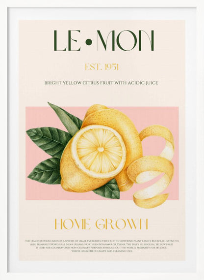 A vintage-style poster about lemons featuring a detailed illustration of a whole and sliced lemon with leaves against a pink background. The poster has text elements like 'LE•MON', 'EST. 1951', and 'HOME GROWN' in a classic font. Print