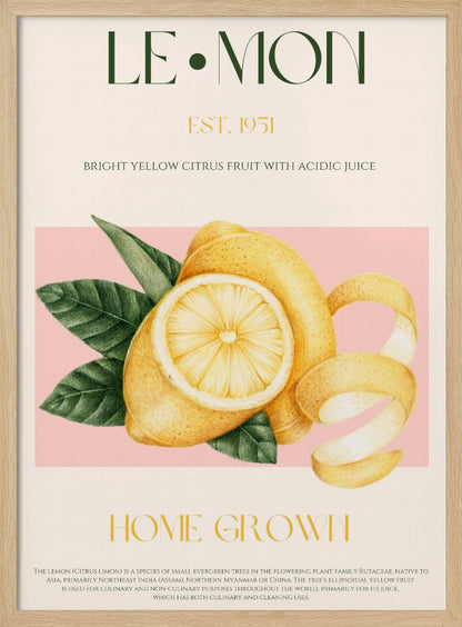 A vintage-style poster about lemons featuring a detailed illustration of a whole and sliced lemon with leaves against a pink background. The poster has text elements like 'LE•MON', 'EST. 1951', and 'HOME GROWN' in a classic font. Print