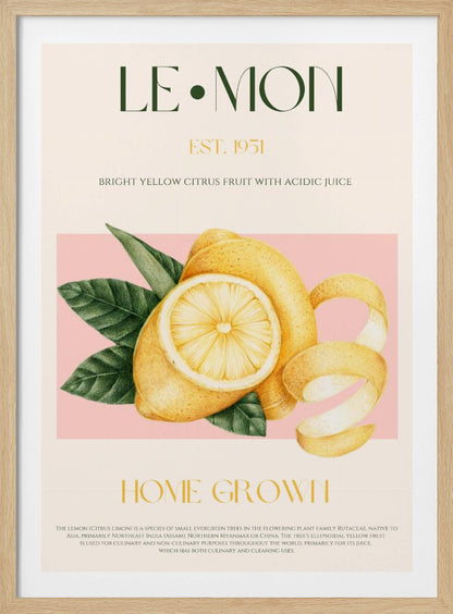 A vintage-style poster about lemons featuring a detailed illustration of a whole and sliced lemon with leaves against a pink background. The poster has text elements like 'LE•MON', 'EST. 1951', and 'HOME GROWN' in a classic font. Print