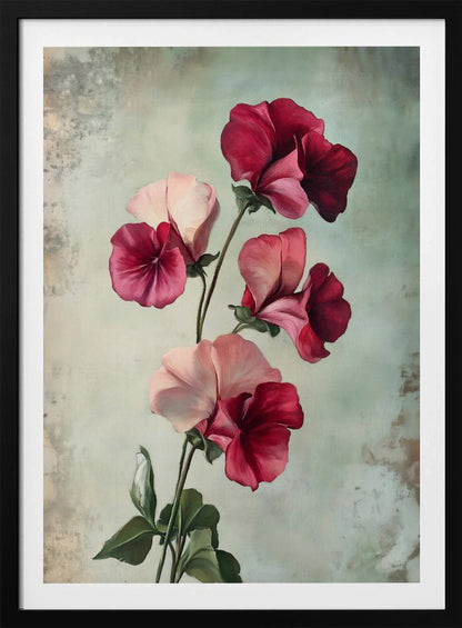 A vintage-style painting of several sweet pea flowers in shades of deep red and light pink against a textured, pale green-grey background, presented in a simple black frame. Artwork