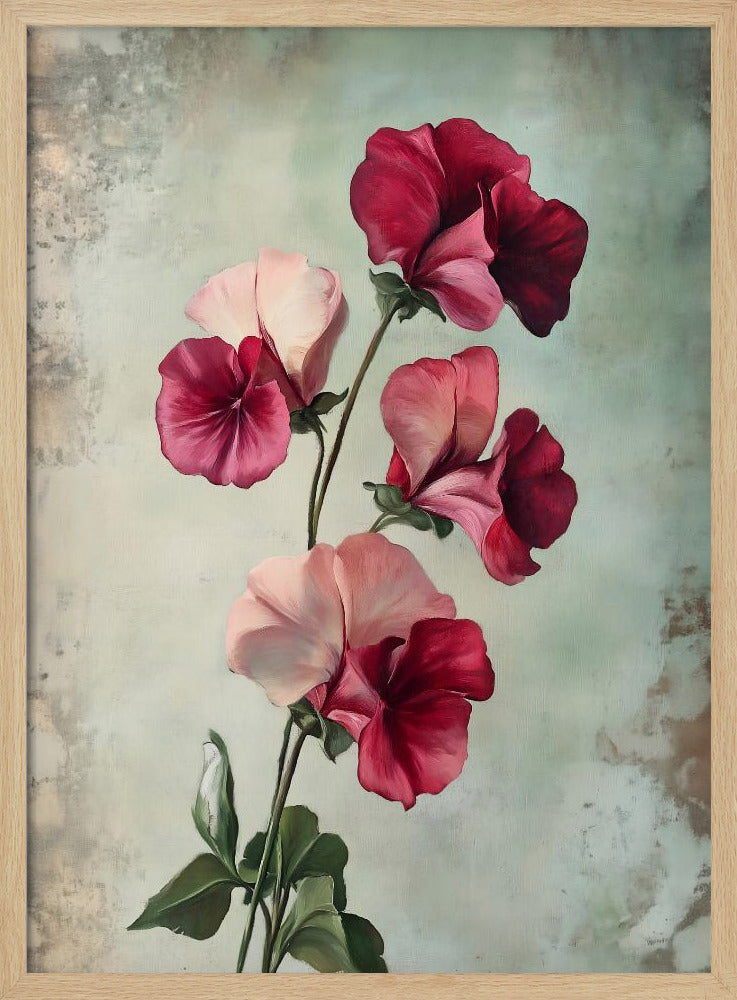 A vintage-style painting of several sweet pea flowers in shades of deep red and light pink against a textured, pale green-grey background, presented in a simple black frame. Artwork