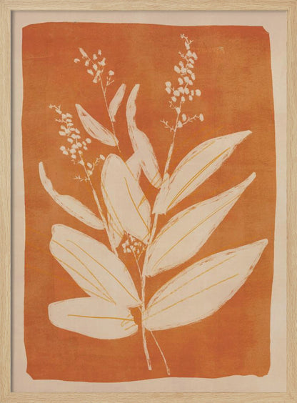 A botanical block print style illustration of a plant with large, pointed leaves and delicate flowering sprigs. The plant is rendered in a creamy off-white against a textured, burnt orange background. The artwork is presented in a simple black frame. Print