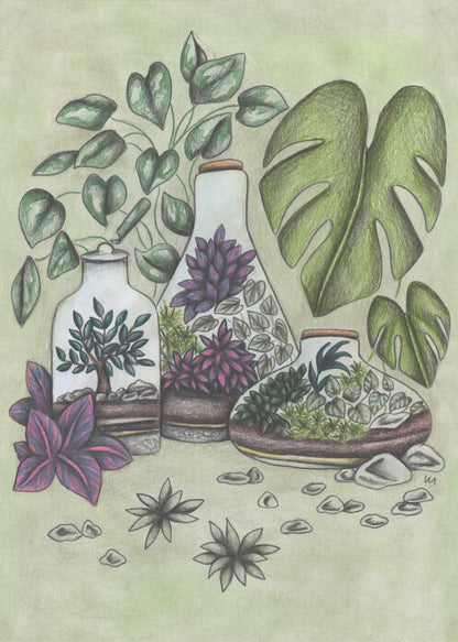 A detailed colored pencil illustration featuring three distinct glass terrariums filled with miniature plants. One terrarium holds a small bonsai-like tree, while the others contain a mix of green and vibrant purple foliage. The scene is surrounded by lush greenery, including large monstera leaves and a vining plant, all set against a soft, pale green background with scattered stones. Artwork