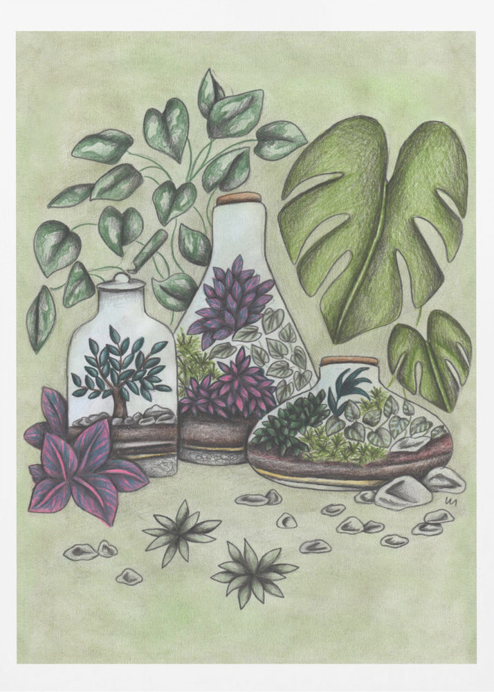 A detailed colored pencil illustration featuring three distinct glass terrariums filled with miniature plants. One terrarium holds a small bonsai-like tree, while the others contain a mix of green and vibrant purple foliage. The scene is surrounded by lush greenery, including large monstera leaves and a vining plant, all set against a soft, pale green background with scattered stones. Artwork