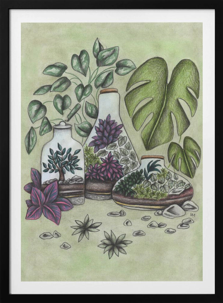 A detailed colored pencil illustration featuring three distinct glass terrariums filled with miniature plants. One terrarium holds a small bonsai-like tree, while the others contain a mix of green and vibrant purple foliage. The scene is surrounded by lush greenery, including large monstera leaves and a vining plant, all set against a soft, pale green background with scattered stones. Artwork