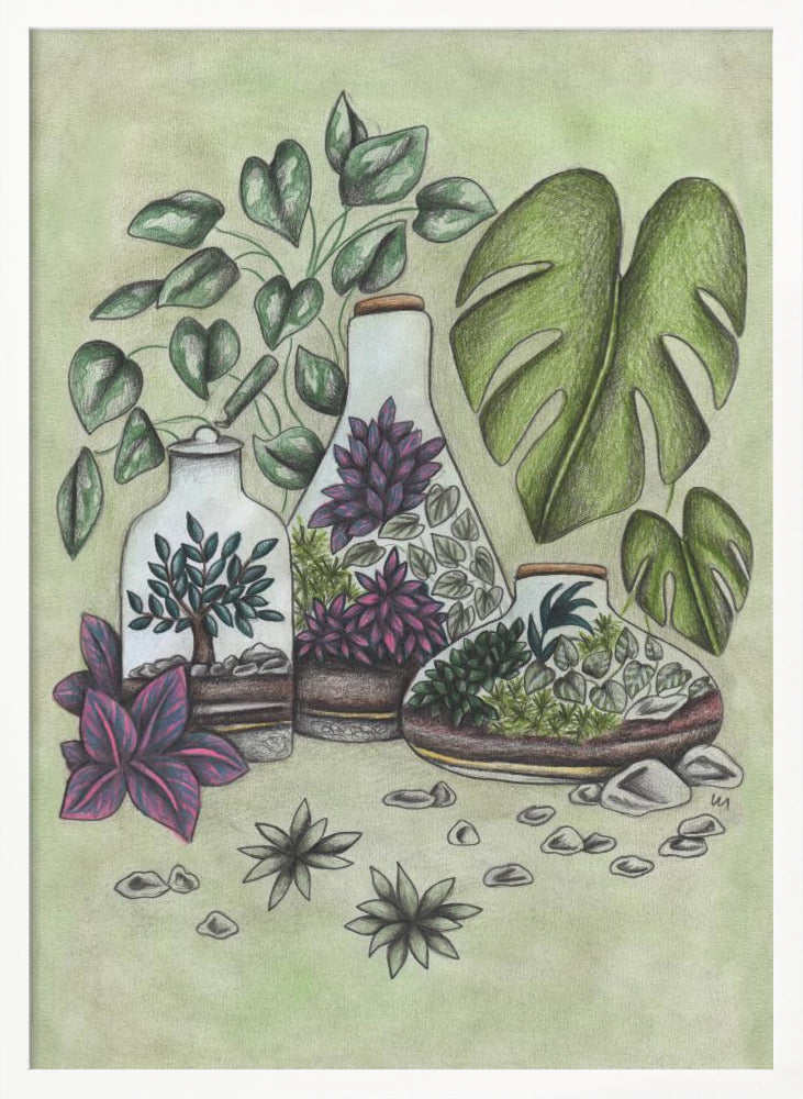 A detailed colored pencil illustration featuring three distinct glass terrariums filled with miniature plants. One terrarium holds a small bonsai-like tree, while the others contain a mix of green and vibrant purple foliage. The scene is surrounded by lush greenery, including large monstera leaves and a vining plant, all set against a soft, pale green background with scattered stones. Artwork