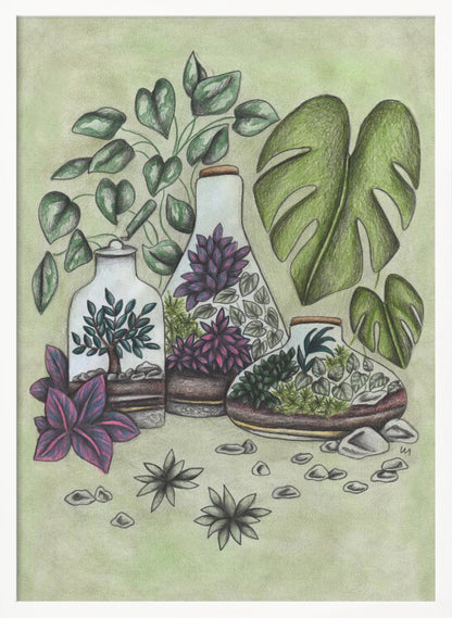 A detailed colored pencil illustration featuring three distinct glass terrariums filled with miniature plants. One terrarium holds a small bonsai-like tree, while the others contain a mix of green and vibrant purple foliage. The scene is surrounded by lush greenery, including large monstera leaves and a vining plant, all set against a soft, pale green background with scattered stones. Artwork