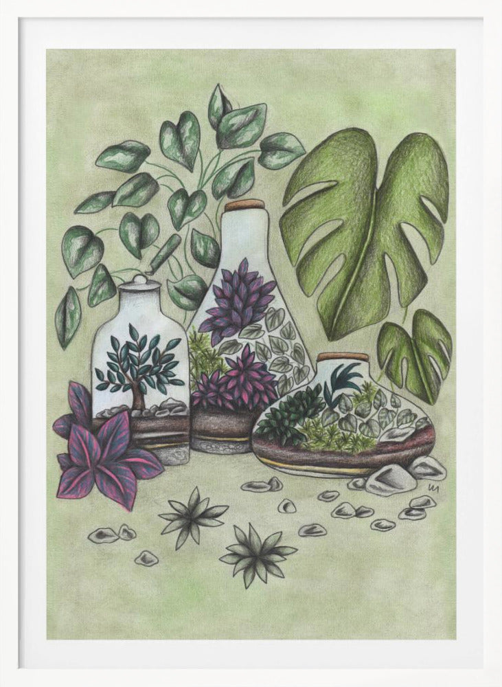 A detailed colored pencil illustration featuring three distinct glass terrariums filled with miniature plants. One terrarium holds a small bonsai-like tree, while the others contain a mix of green and vibrant purple foliage. The scene is surrounded by lush greenery, including large monstera leaves and a vining plant, all set against a soft, pale green background with scattered stones. Artwork