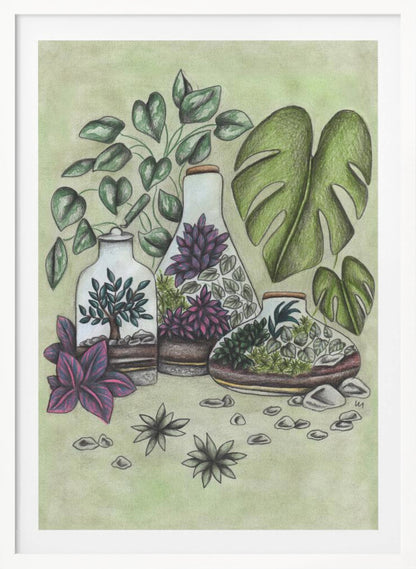 A detailed colored pencil illustration featuring three distinct glass terrariums filled with miniature plants. One terrarium holds a small bonsai-like tree, while the others contain a mix of green and vibrant purple foliage. The scene is surrounded by lush greenery, including large monstera leaves and a vining plant, all set against a soft, pale green background with scattered stones. Artwork