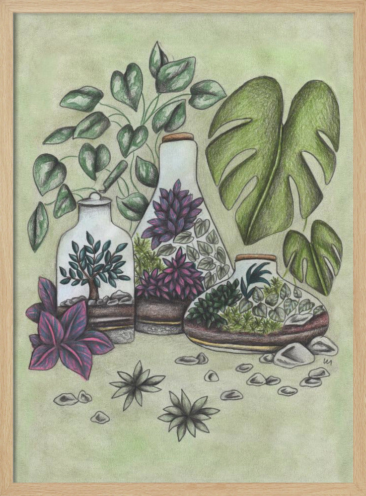 A detailed colored pencil illustration featuring three distinct glass terrariums filled with miniature plants. One terrarium holds a small bonsai-like tree, while the others contain a mix of green and vibrant purple foliage. The scene is surrounded by lush greenery, including large monstera leaves and a vining plant, all set against a soft, pale green background with scattered stones. Artwork