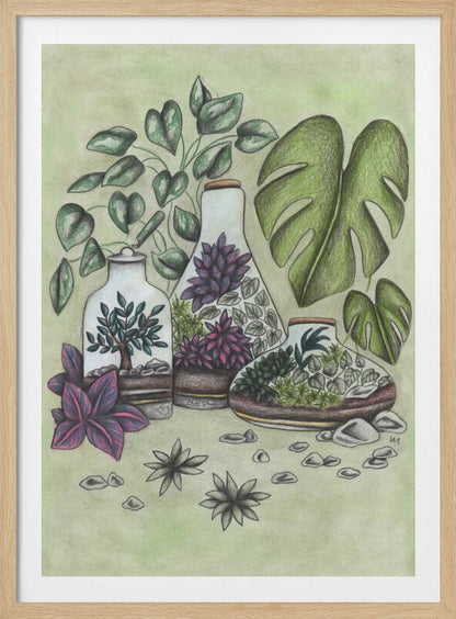 A detailed colored pencil illustration featuring three distinct glass terrariums filled with miniature plants. One terrarium holds a small bonsai-like tree, while the others contain a mix of green and vibrant purple foliage. The scene is surrounded by lush greenery, including large monstera leaves and a vining plant, all set against a soft, pale green background with scattered stones. Artwork