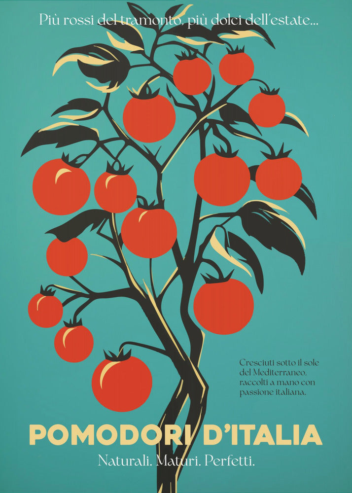 A vintage-style Italian advertisement poster featuring a stylized illustration of a tomato plant with vibrant red tomatoes against a teal background. Italian text at the bottom reads 'POMODORI D'ITALIA'. Print
