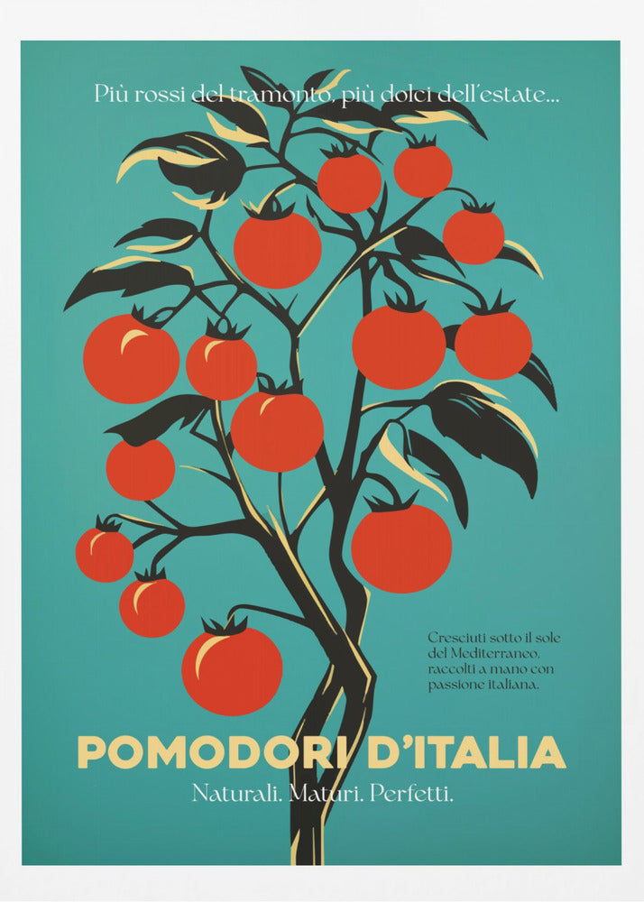 A vintage-style Italian advertisement poster featuring a stylized illustration of a tomato plant with vibrant red tomatoes against a teal background. Italian text at the bottom reads 'POMODORI D'ITALIA'. Print