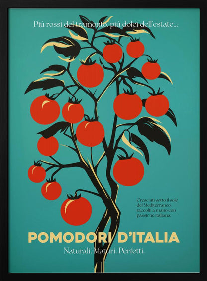 A vintage-style Italian advertisement poster featuring a stylized illustration of a tomato plant with vibrant red tomatoes against a teal background. Italian text at the bottom reads 'POMODORI D'ITALIA'. Print