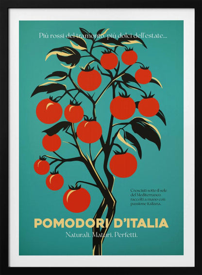 A vintage-style Italian advertisement poster featuring a stylized illustration of a tomato plant with vibrant red tomatoes against a teal background. Italian text at the bottom reads 'POMODORI D'ITALIA'. Print