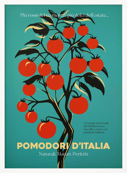 A vintage-style Italian advertisement poster featuring a stylized illustration of a tomato plant with vibrant red tomatoes against a teal background. Italian text at the bottom reads 'POMODORI D'ITALIA'. Print