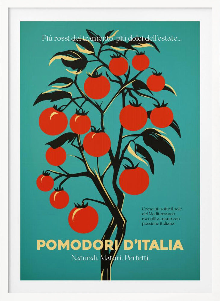 A vintage-style Italian advertisement poster featuring a stylized illustration of a tomato plant with vibrant red tomatoes against a teal background. Italian text at the bottom reads 'POMODORI D'ITALIA'. Print