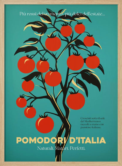 A vintage-style Italian advertisement poster featuring a stylized illustration of a tomato plant with vibrant red tomatoes against a teal background. Italian text at the bottom reads 'POMODORI D'ITALIA'. Print