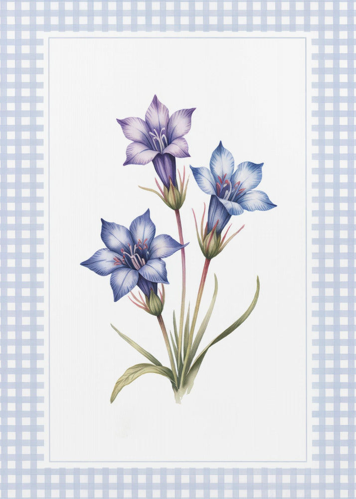 A botanical illustration of three purple and blue gentian flowers on green stems with leaves, centered on a white background. The artwork is surrounded by a light blue and white gingham mat and a thin black frame. Print