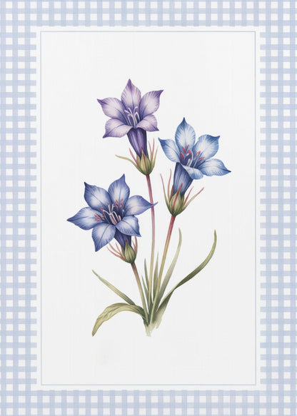 A botanical illustration of three purple and blue gentian flowers on green stems with leaves, centered on a white background. The artwork is surrounded by a light blue and white gingham mat and a thin black frame. Print
