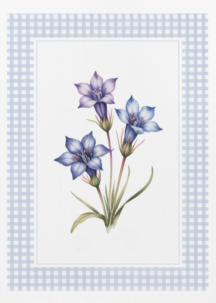 A botanical illustration of three purple and blue gentian flowers on green stems with leaves, centered on a white background. The artwork is surrounded by a light blue and white gingham mat and a thin black frame. Print