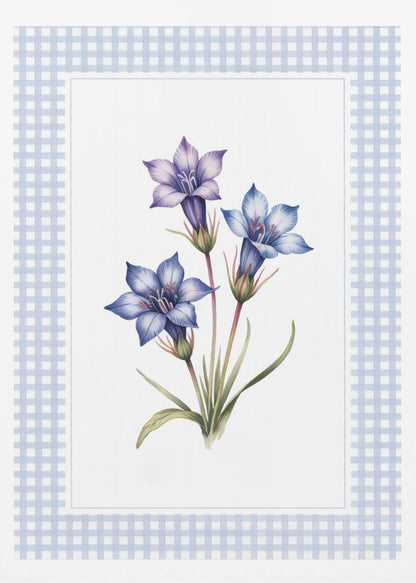 A botanical illustration of three purple and blue gentian flowers on green stems with leaves, centered on a white background. The artwork is surrounded by a light blue and white gingham mat and a thin black frame. Print