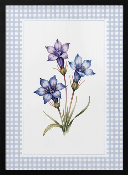 A botanical illustration of three purple and blue gentian flowers on green stems with leaves, centered on a white background. The artwork is surrounded by a light blue and white gingham mat and a thin black frame. Print