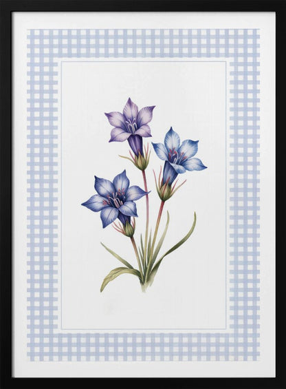 A botanical illustration of three purple and blue gentian flowers on green stems with leaves, centered on a white background. The artwork is surrounded by a light blue and white gingham mat and a thin black frame. Print