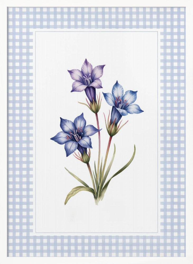 A botanical illustration of three purple and blue gentian flowers on green stems with leaves, centered on a white background. The artwork is surrounded by a light blue and white gingham mat and a thin black frame. Print