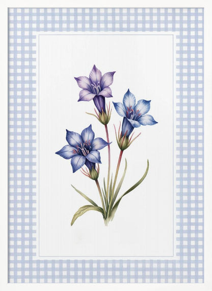 A botanical illustration of three purple and blue gentian flowers on green stems with leaves, centered on a white background. The artwork is surrounded by a light blue and white gingham mat and a thin black frame. Print
