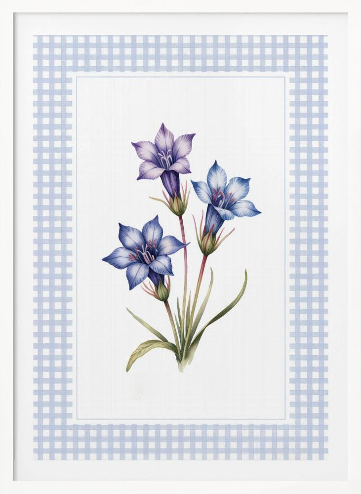 A botanical illustration of three purple and blue gentian flowers on green stems with leaves, centered on a white background. The artwork is surrounded by a light blue and white gingham mat and a thin black frame. Print