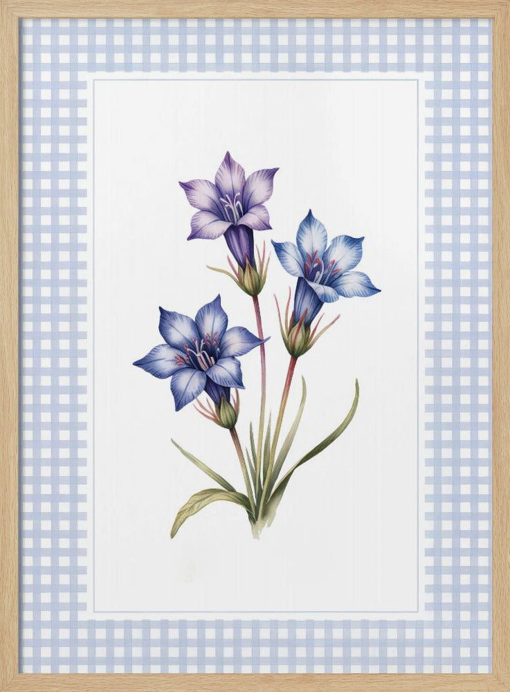 A botanical illustration of three purple and blue gentian flowers on green stems with leaves, centered on a white background. The artwork is surrounded by a light blue and white gingham mat and a thin black frame. Print