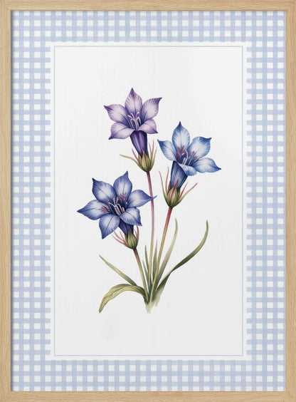 A botanical illustration of three purple and blue gentian flowers on green stems with leaves, centered on a white background. The artwork is surrounded by a light blue and white gingham mat and a thin black frame. Print