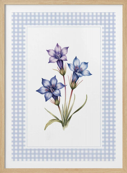 A botanical illustration of three purple and blue gentian flowers on green stems with leaves, centered on a white background. The artwork is surrounded by a light blue and white gingham mat and a thin black frame. Print