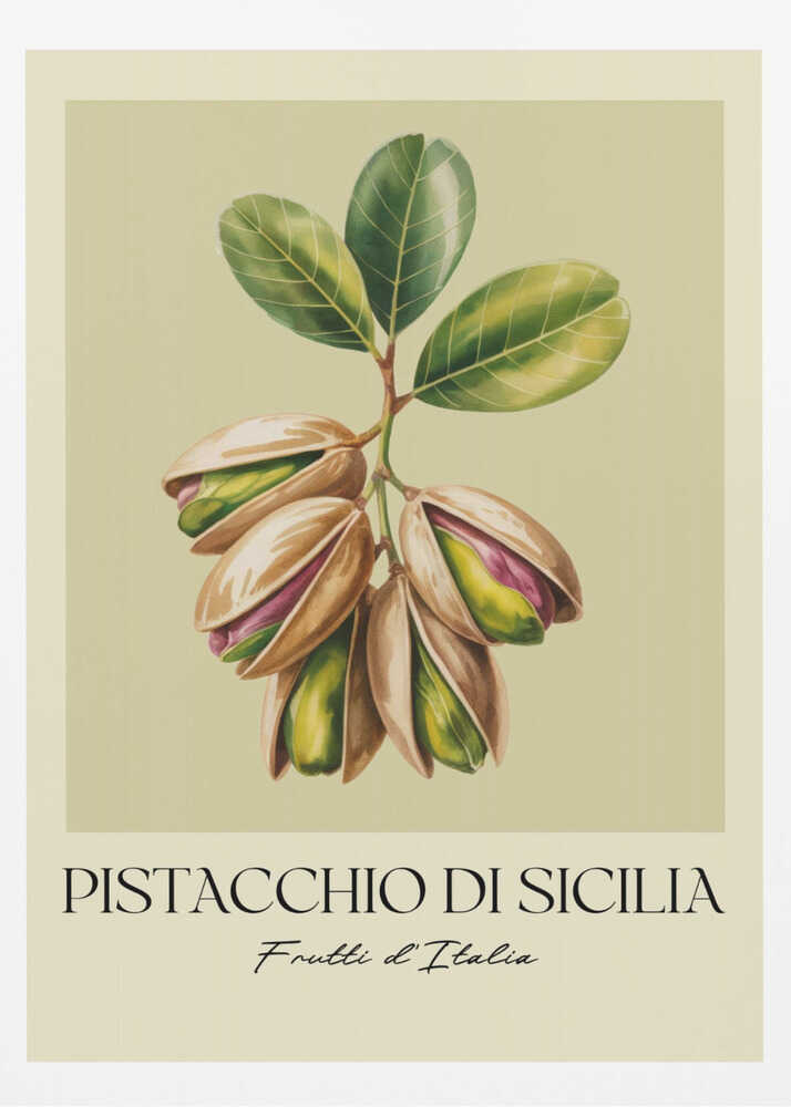 A vintage-style botanical poster illustrating a branch of Sicilian pistachios against a muted green background. The text below reads 'Pistacchio di Sicilia' and 'Frutti d'Italia'. The artwork is enclosed in a cream border and a simple black frame. Poster