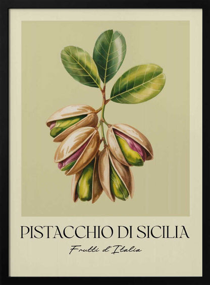 A vintage-style botanical poster illustrating a branch of Sicilian pistachios against a muted green background. The text below reads 'Pistacchio di Sicilia' and 'Frutti d'Italia'. The artwork is enclosed in a cream border and a simple black frame. Poster