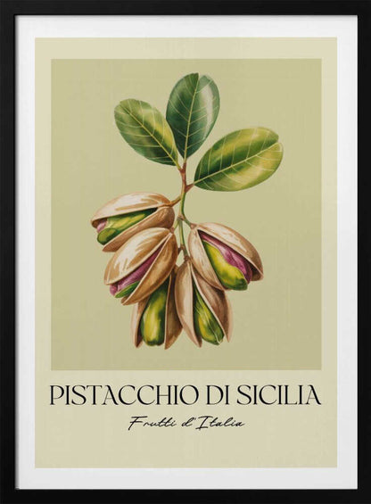 A vintage-style botanical poster illustrating a branch of Sicilian pistachios against a muted green background. The text below reads 'Pistacchio di Sicilia' and 'Frutti d'Italia'. The artwork is enclosed in a cream border and a simple black frame. Poster