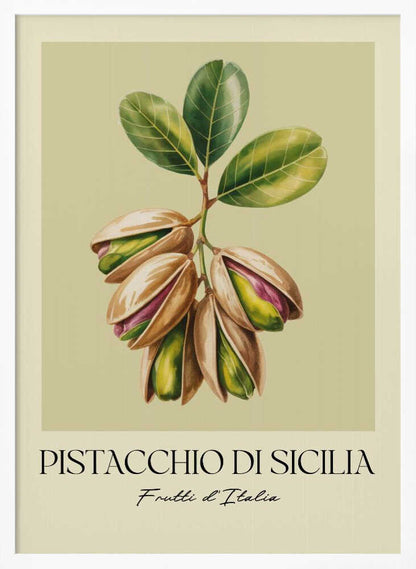 A vintage-style botanical poster illustrating a branch of Sicilian pistachios against a muted green background. The text below reads 'Pistacchio di Sicilia' and 'Frutti d'Italia'. The artwork is enclosed in a cream border and a simple black frame. Poster