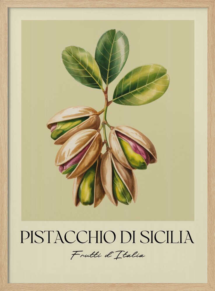 A vintage-style botanical poster illustrating a branch of Sicilian pistachios against a muted green background. The text below reads 'Pistacchio di Sicilia' and 'Frutti d'Italia'. The artwork is enclosed in a cream border and a simple black frame. Poster