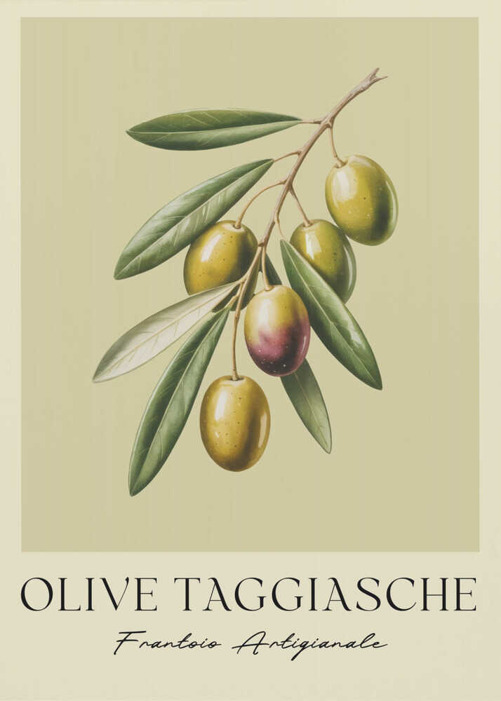 A vintage-style botanical art print of an olive branch with green Taggiasche olives against a muted green background. The text 'OLIVE TAGGIASCHE' and 'Frantoio Artigianale' is at the bottom. The print is matted and in a black frame. Print