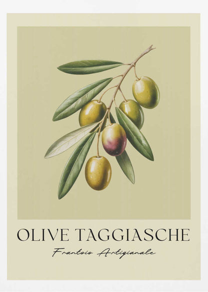 A vintage-style botanical art print of an olive branch with green Taggiasche olives against a muted green background. The text 'OLIVE TAGGIASCHE' and 'Frantoio Artigianale' is at the bottom. The print is matted and in a black frame. Print